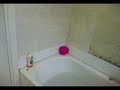 Fish vvrecked goin in ma bath Fish vvrecked goin in ma bath