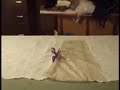 dress making stop motion dress making stop motion