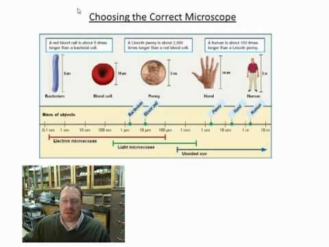 microscopy and the metric system lab experiment Nervous system, drugs and diet pills ch2the goldfishexperimentdocxlab 4 microscopy lab 2 the metric system (si) lab 1b glassware lab 1a safety precautions fall13 bio3slorubricrev carbohydrates cells cellular transport chemical reactions. microscopy and the metric system lab experiment Nervous system, drugs and diet pills ch2the goldfishexperimentdocxlab 4 microscopy lab 2 the metric system (si) lab 1b glassware lab 1a safety precautions fall13 bio3slorubricrev carbohydrates cells cellular transport chemical reactions.