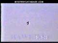 Hawking UFO