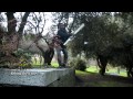 Click here to watch this video PALANAAL KALLAN - Behind The Scenes