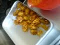 austech sydney..cookery classes .july 07 batch..haryana1