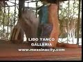 YANCO CLUB LIDO GALLERIA D'ARTE SANT'AGATA MESSINA
