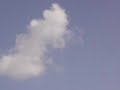 F-16 RC