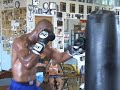 bernard hopkins flashin
