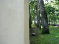 videos de wall spin