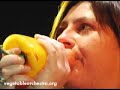 worldwide one of a kind, the vegetable orchestra performs on instruments made of fresh vegetables. the utilization of various ever refined vegetable instruments creates a musically and aesthetically unique sound universe.

http://www.vegetableorchestra.org

----- december 4th, 2007:
wow, were are really amazed about the flood of comments in the last hours. so thank you all for your kind and unkind comments. we really appreciated that! sorry that we can not answer all... it's just too much!

just one word to all the people who are concerned about people dying of starvation:
we are concerned too. but not doing this project does change nothing. it doesn't make the world a better place.
if you are really concerned about the distribution of wealth then do something about it! read books about the real cause of hunger. talk with your friends and family about it. change your own life and try to change politics. buy and support the right things. it is not people using vegetables differently than usual that make the world a bad place. it's all of us wanting too much. our own car, a new cellphone, a bigger house with air condition, more money...
sending the vegetables to africa does not help. on the contrary it destroys the markets there, so people can not sell their own produce, because the imported one is too cheap. 

and by the way: people have used vegetables for music for centuries. also in africa.

----- december 5th, 2007:
sorry, we had to disable commenting temporarily. it's way too much to handle at the moment. thank you all nevertheless!