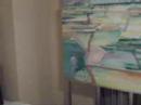 ART@AGNES 2008