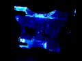 Sound Sensitive PC Neon