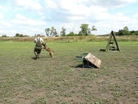 Виза