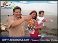 arbol gigante en mar de camana