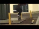 Torey Pudwill Dudes, Dudes, Dudes