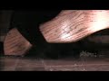 かわいい猫動画