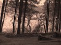 Haldon Freeride