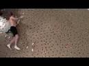 mouse traps LOL