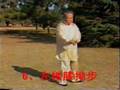 Wei ShuRen：Complete Yang Style Taji - LaoLiuLu 1 of 6