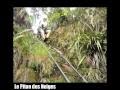 Vid�o d'un particiapant sur le grand raid