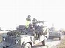 3para wmiks