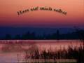 G-Nite feat. Ella (prod. by thug-69) hass auf mich selbst