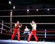 Championnat du Monde - Savate Combat - 2007