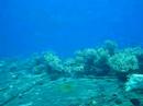 Diving the DeJaniero Maru in Truk Lagoon, Chuuk Diving the DeJaniero Maru in Truk Lagoon, Chuuk
