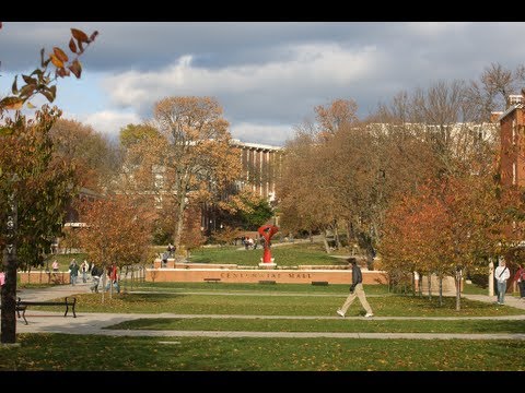 how to apply to wku honors college