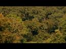 cambodia: ends of the khmer rouge world  2of5   kh en 