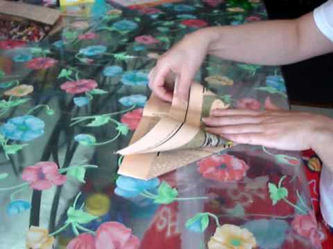Prohlédnout video