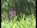 videos de Faris Esho_Bersivey