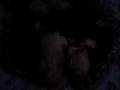 OSD, Snoring
