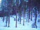 Snowmobilling in Idaho Winter 2007-2008
