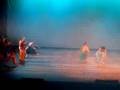 Danza Afro: Trópico Animal (parte 3)