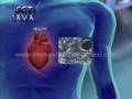 Adult Stem Cell & Regeneration animate