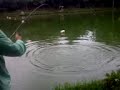 Pesca de Pintado com isca artificial Parte 1 WILIAN