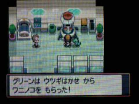 totodile