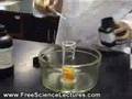 Marshmallow Experiment