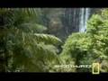smooth-jazz-everett-
