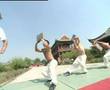 Shuaijiao technique by Master Wang Wenyong