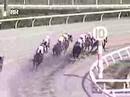 2008年4月6日高知競馬第8Rの競走不成立