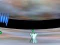 Animaci�n Medica: Sinapsis Nerviosa