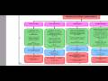 USMLE Step 3 Bacterial Skin Infections Algorithm with Voice explanation from USMLE Expert. Topics: Impetigo Erysipelas Cellulitis Folliculitis Necrotizing Fasciitis