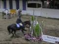 horses riders falling stops spills