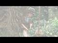 Finding neverland trailer