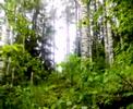 mik� (23062008.mp4)