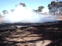 Burnout at a Burnout Competition