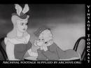 private snafu#2 (spies) private snafu#2 (spies)