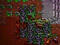 Ancient Scarabs