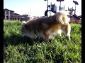 weird dora kicking