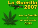 jack-herer.html