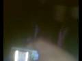 ziua barbatilor clun 3d calarasi 3